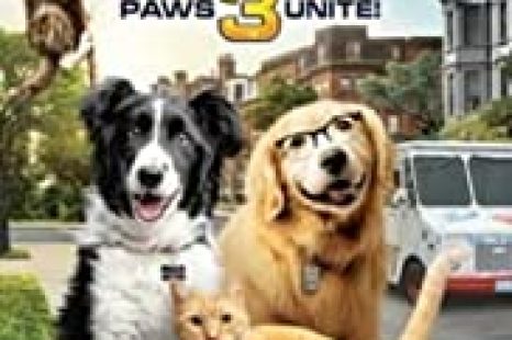 Cats & Dogs 3: Paws Unite (2020)