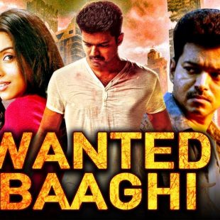 Wanted Baaghi: Pokkiri (2007)