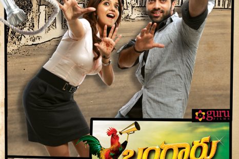 Bangaaru KodiPetta (2014)