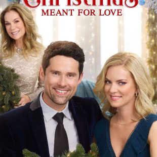 A Godwink Christmas: Meant for Love (2019)