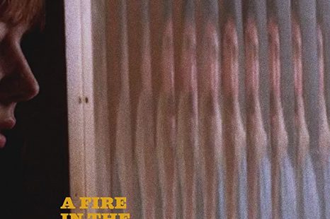 A Fire in the Cold Season (2019)