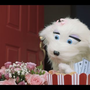 Allan the Dog (2020)