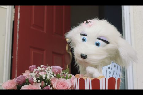 Allan the Dog (2020)