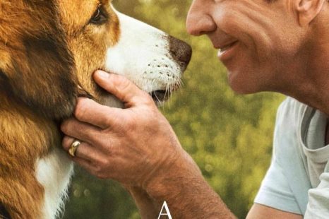 A Dog’s Journey (2019)