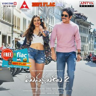 Manmadhudu 2 (2019)