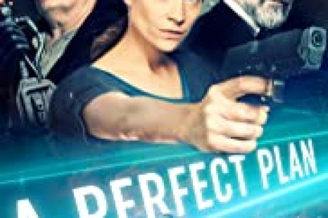 A Perfect Plan (2020)