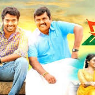 Raja Manthiri (2016)