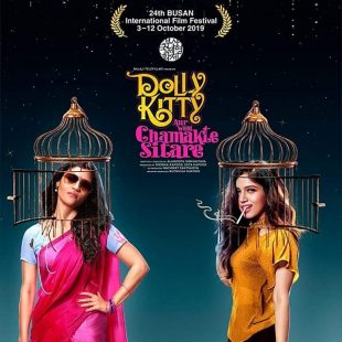 Dolly Kitty and Those Twinkling Stars (2019)