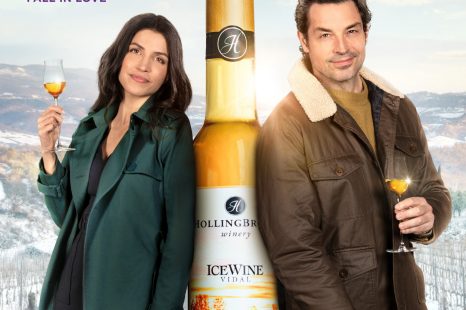 The Perfect Pairing (2022)