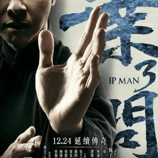 Ip Man 4: The Finale (2015)