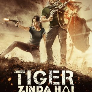 Tiger Zinda Hai (2017)